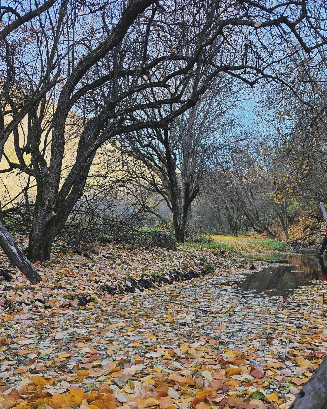 Фото из похода 6